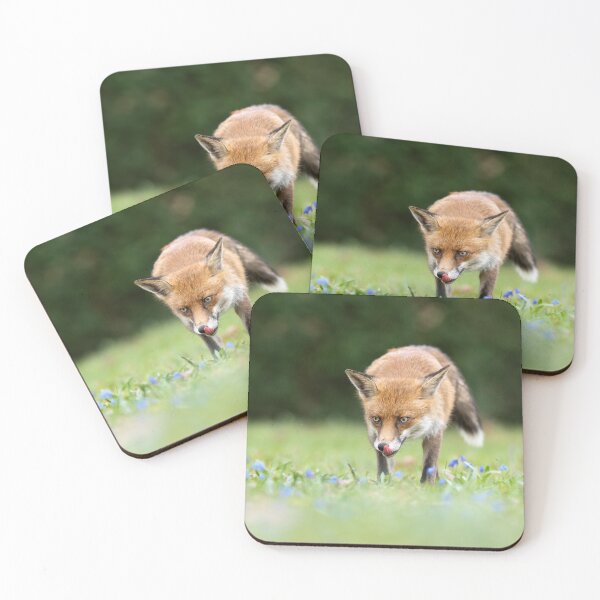 Item preview, "Red fox with tongue hanging out in a flower meadow" designed and sold by NaturfotoEdel.
