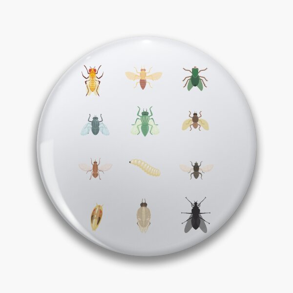 Item preview, Fruit Fly Life Cycle – Drosophila Insect Science Illustration designed and sold by astersgraphics.