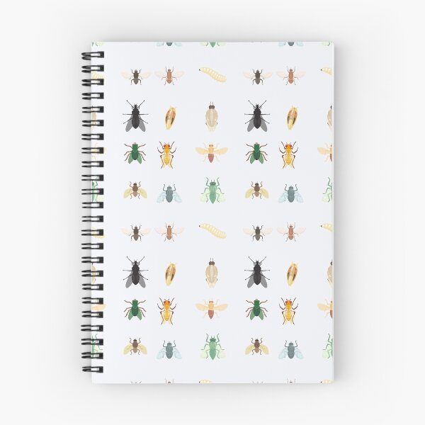Item preview, Fruit Fly Life Cycle – Drosophila Insect Science Illustration designed and sold by astersgraphics.