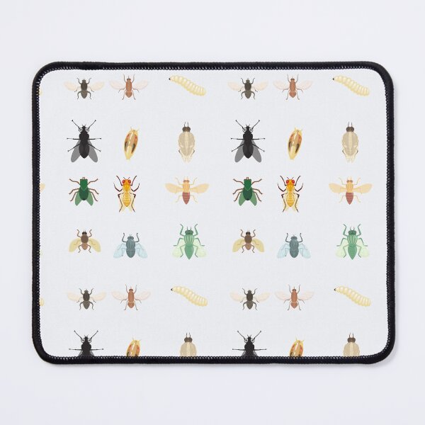 Item preview, Fruit Fly Life Cycle – Drosophila Insect Science Illustration designed and sold by astersgraphics.