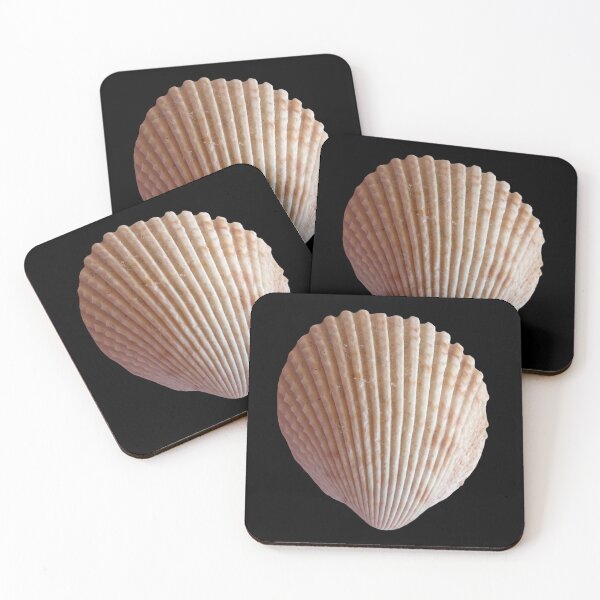 Item preview, Concha marina en primer plano designed and sold by Rachel the Artist .