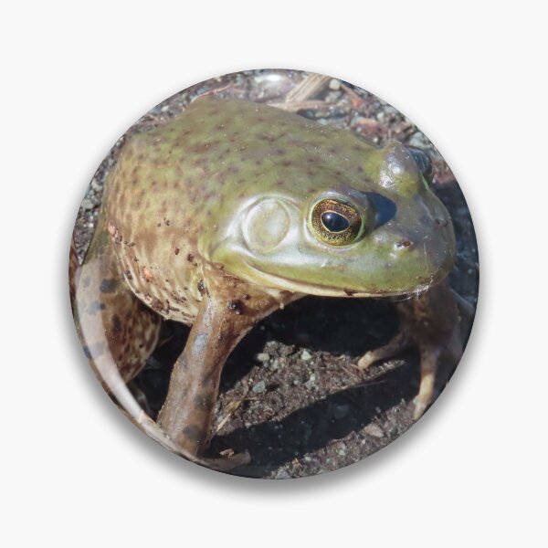 Artikelvorschau, Frosch im Sumpf entworfen und verkauft von Chriscolibaba.