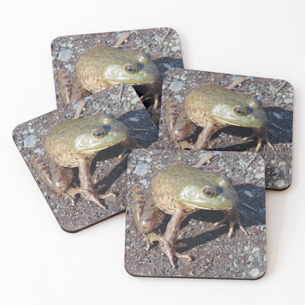 Item preview, Frog At Marsh designed and sold by Chriscolibaba.