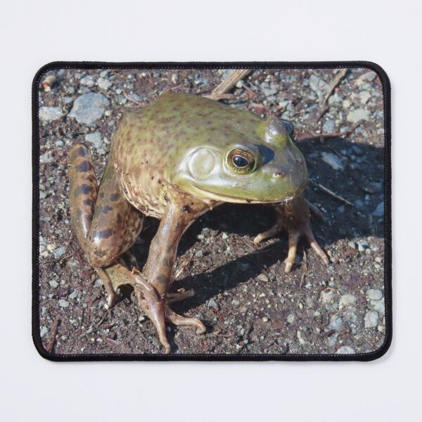 Item preview, Frog At Marsh designed and sold by Chriscolibaba.