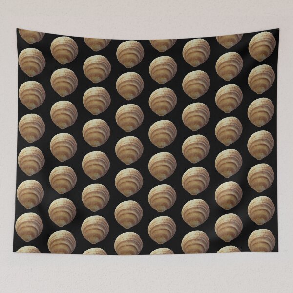 Item preview, Seashell close up designed and sold by Rachel the Artist .
