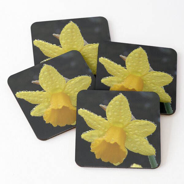 Item preview, Daffodil Droplets designed and sold by Chriscolibaba.