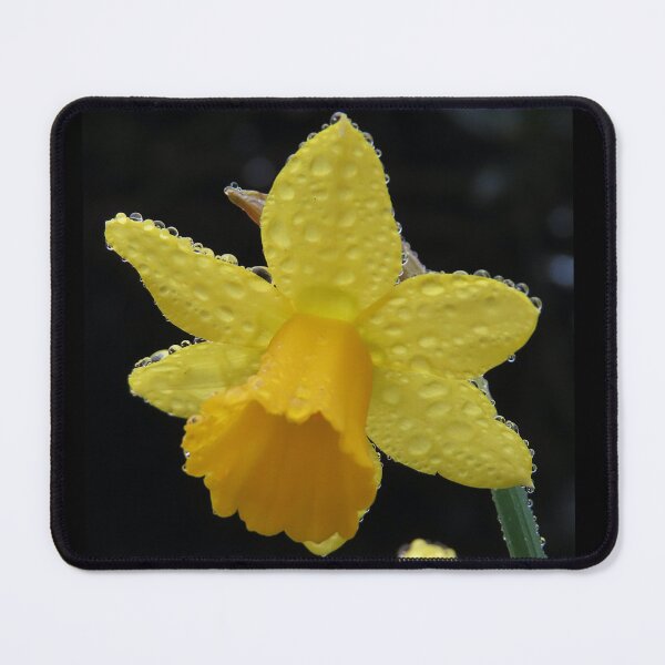 Item preview, Daffodil Droplets designed and sold by Chriscolibaba.