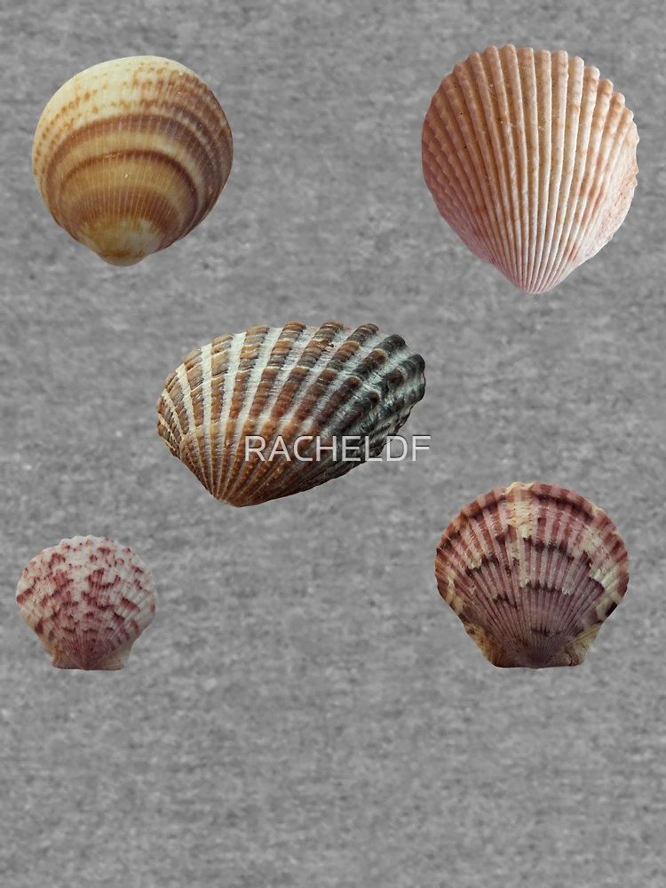 Thumbnail 6 von 6, Leichter Pullover, Muscheln designt und verkauft von Rachel the Artist .