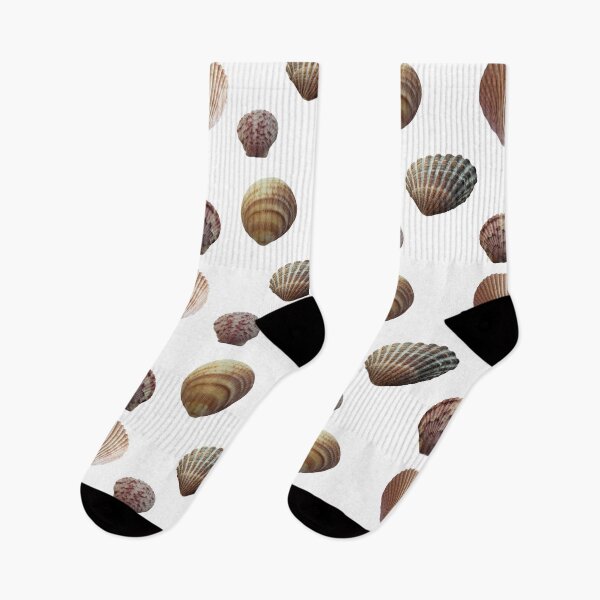 Item preview, Seashells  designed and sold by Rachel the Artist .