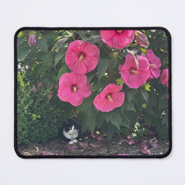Item preview, Olive and the Hibiscus  designed and sold by Created by B.