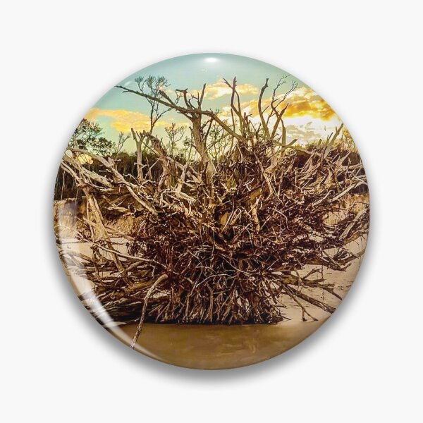 Item preview, Uprooted Tree Roots Beach Sunset – Coastal Erosion Landscape Photography designed and sold by aadventures.