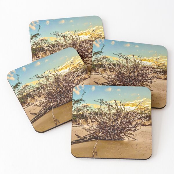 Item preview, Uprooted Tree Roots Beach Sunset – Coastal Erosion Landscape Photography designed and sold by aadventures.