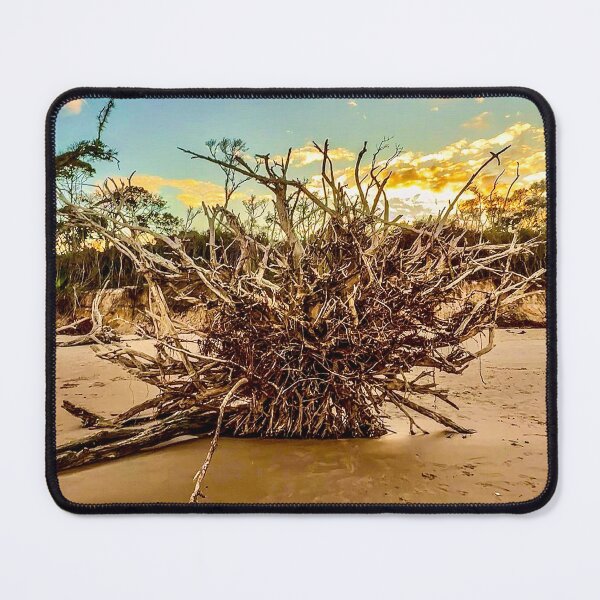 Item preview, Uprooted Tree Roots Beach Sunset – Coastal Erosion Landscape Photography designed and sold by aadventures.