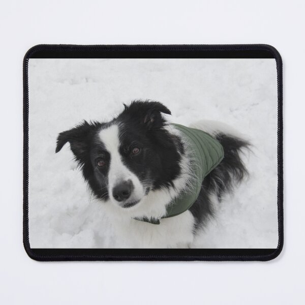 Item preview, Border Collie in snow designed and sold by lgelln1.