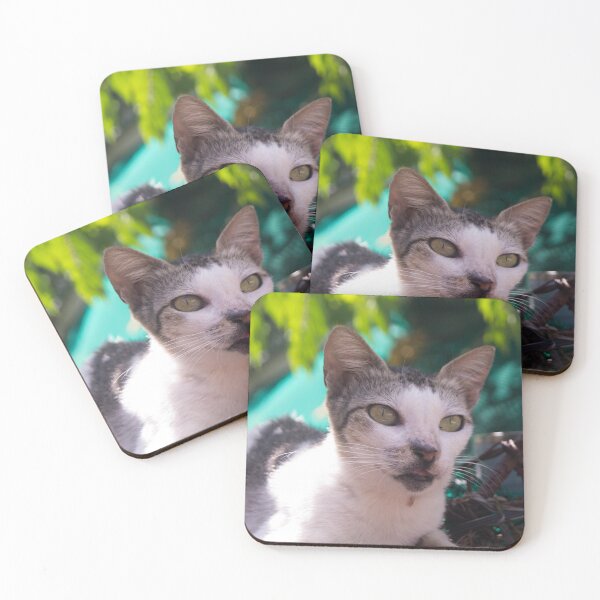 Item preview, Cat on Alert designed and sold by ROSE ANN BANILAR.