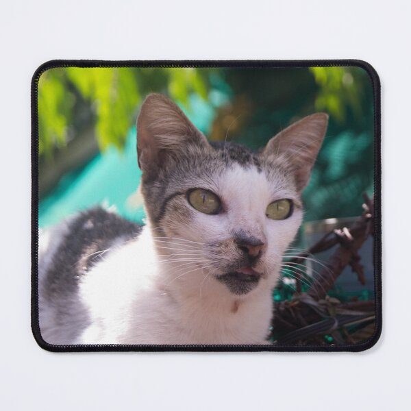 Item preview, Cat on Alert designed and sold by ROSE ANN BANILAR.