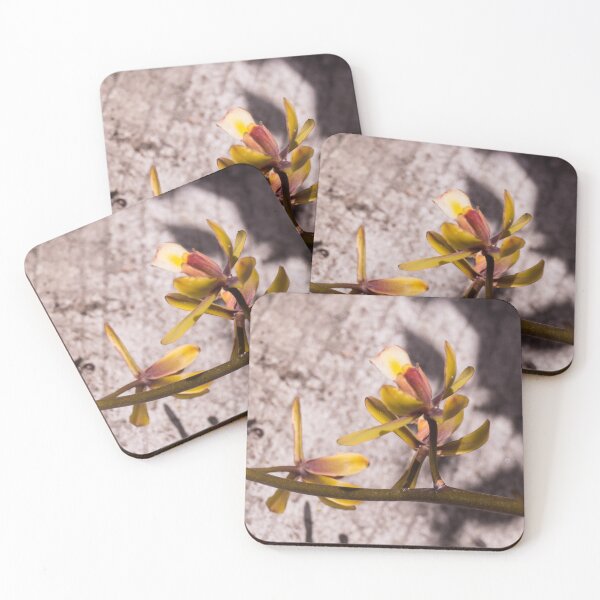 Item preview, Eulophia or Diuris designed and sold by ROSE ANN BANILAR.