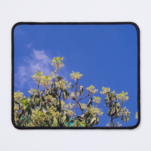 Item preview, Avocado Tree designed and sold by ROSE ANN BANILAR.