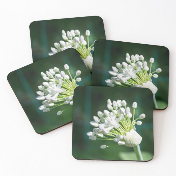 Item preview, Naples garlic or ornamental onion designed and sold by ROSE ANN BANILAR.