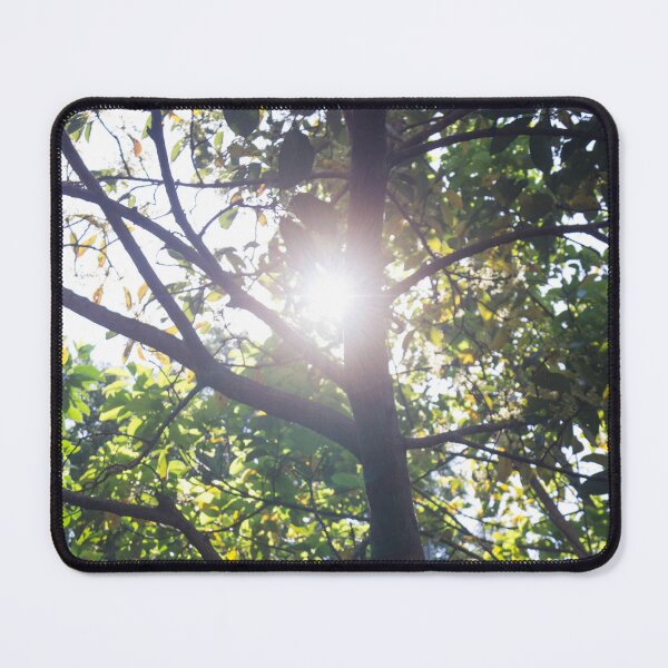 Item preview, Sun Against a Fruit Tree designed and sold by ROSE ANN BANILAR.