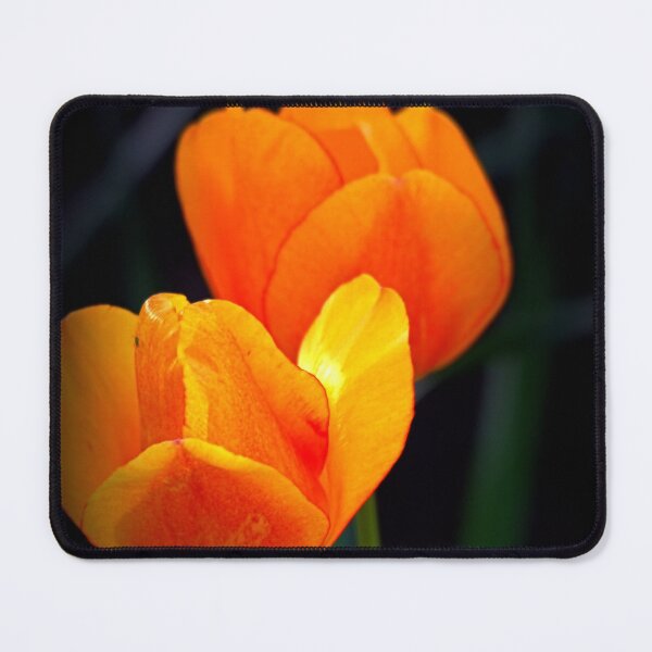 Item preview, Tulip Time in Skagit Valley designed and sold by vernonplatt.