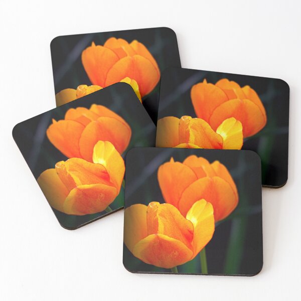 Item preview, Tulip Time in Skagit Valley designed and sold by vernonplatt.