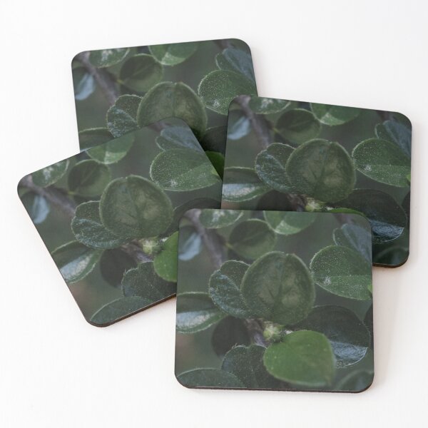 Item preview, Dark Green Cotoneaster Leaves Macro - Textured Botanical Photo designed and sold by vikko-art.