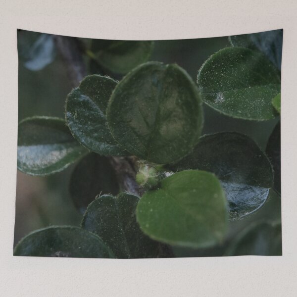 Item preview, Dark Green Cotoneaster Leaves Macro - Textured Botanical Photo designed and sold by vikko-art.