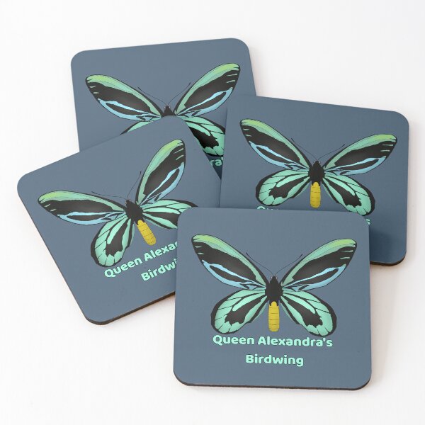 Item preview, Queen Alexandra's Birdwing Butterfly (male)  designed and sold by Floralfusion.