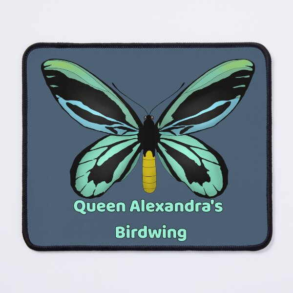 Item preview, Queen Alexandra's Birdwing Butterfly (male)  designed and sold by Floralfusion.