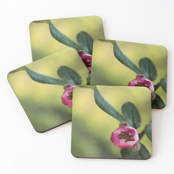 Item preview, Nature's Graceful Moment: Pink Flower 'Dance' designed and sold by vikko-art.