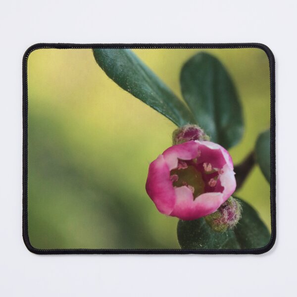 Item preview, Nature's Graceful Moment: Pink Flower 'Dance' designed and sold by vikko-art.