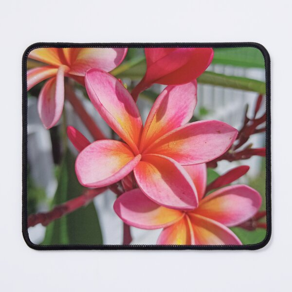 Item preview, Tropical Pink and Yellow Frangipani Flowers designed and sold by jaynerushton.