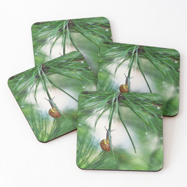Item preview, The Pine Acrobat - Fine Art Macro designed and sold by SoulArchitect.
