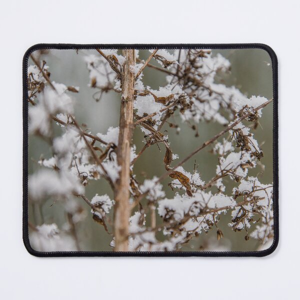 Item preview, Snowy Seed Pods and Delicate Stems designed and sold by ShotsbyDesiree.