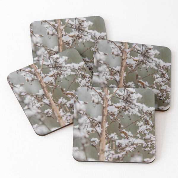 Item preview, Snowy Seed Pods and Delicate Stems designed and sold by ShotsbyDesiree.