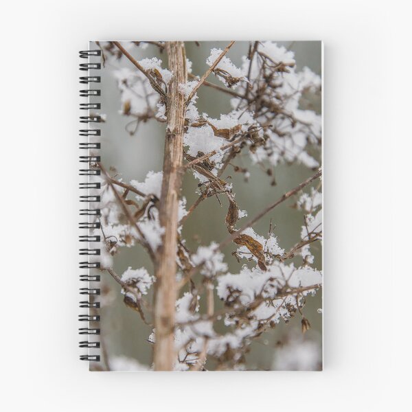 Item preview, Snowy Seed Pods and Delicate Stems designed and sold by ShotsbyDesiree.
