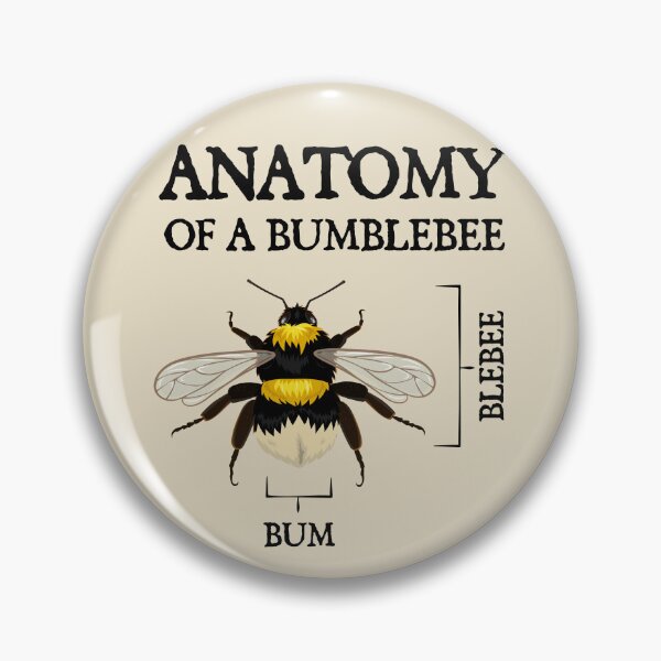 Item preview, Anatomy of a Bumblebee designed and sold by iconikit.