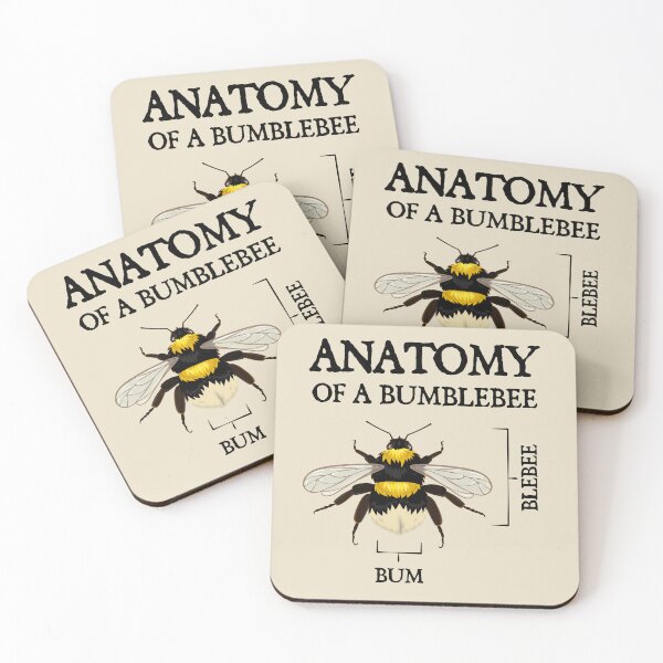 Item preview, Anatomy of a Bumblebee designed and sold by iconikit.