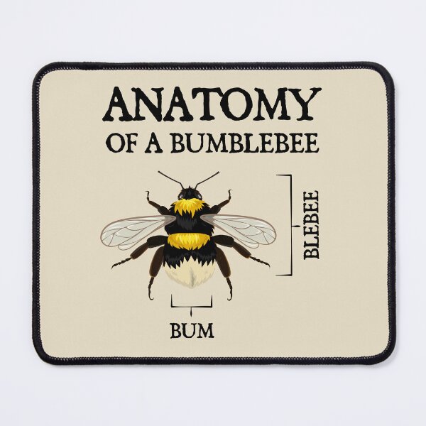 Item preview, Anatomy of a Bumblebee designed and sold by iconikit.