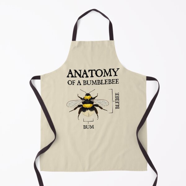 Item preview, Anatomy of a Bumblebee designed and sold by iconikit.