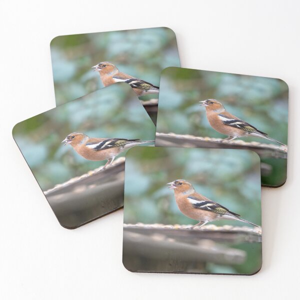 Item preview, Eurasian chaffinch (Fringilla coelebs) designed and sold by Stephen Jarman.