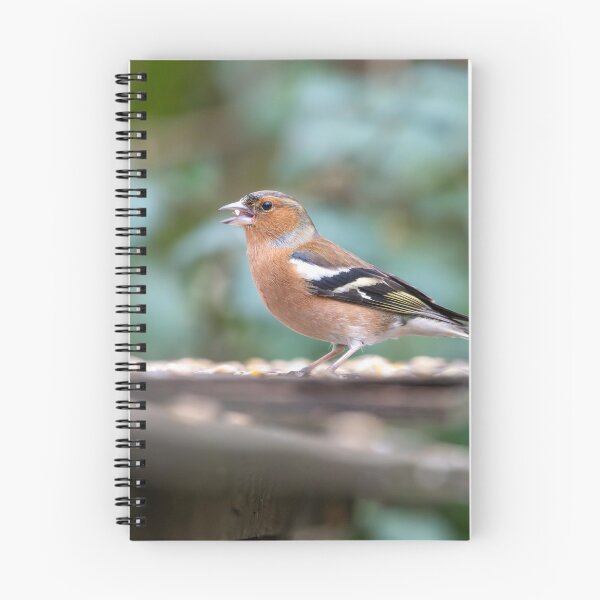 Item preview, Eurasian chaffinch (Fringilla coelebs) designed and sold by Stephen Jarman.