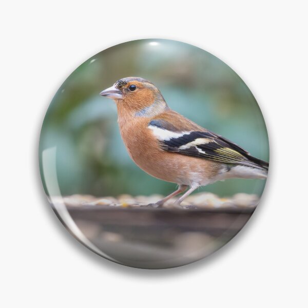 Item preview, Eurasian chaffinch (Fringilla coelebs) designed and sold by Stephen Jarman.