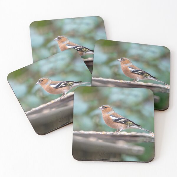 Item preview, Eurasian chaffinch (Fringilla coelebs) designed and sold by Stephen Jarman.