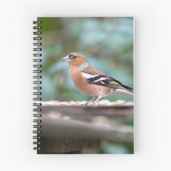 Item preview, Eurasian chaffinch (Fringilla coelebs) designed and sold by Stephen Jarman.