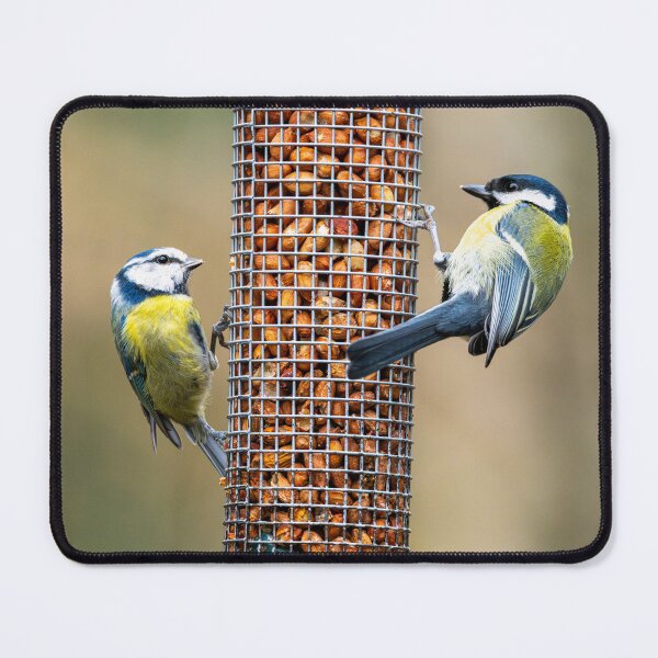 Item preview, Eurasian blue tit & Great tit  designed and sold by Stephen Jarman.