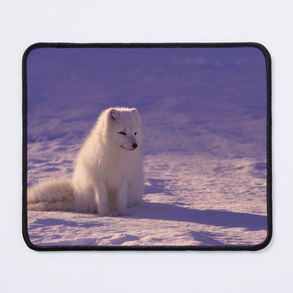 Item preview, Arctic fox designed and sold by Scandinavian4U.