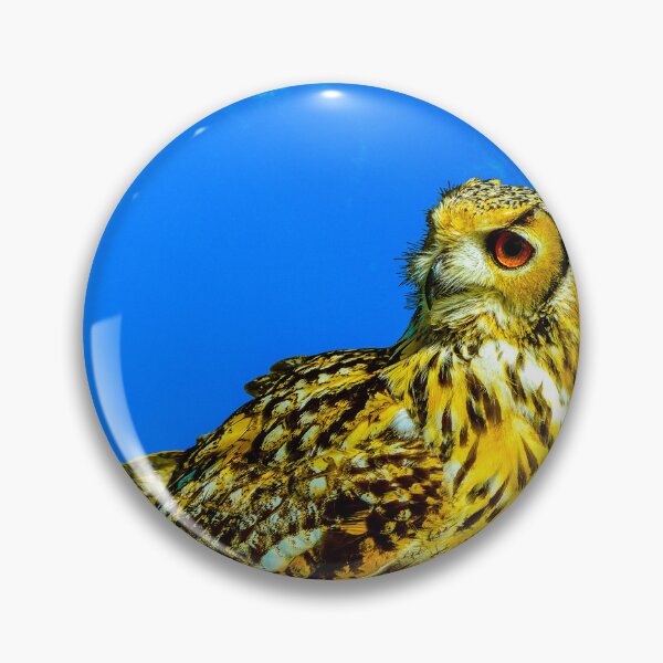 Item preview, Eurasian eagle owl Latin name Bubo bubo perched designed and sold by Peter Etchells.
