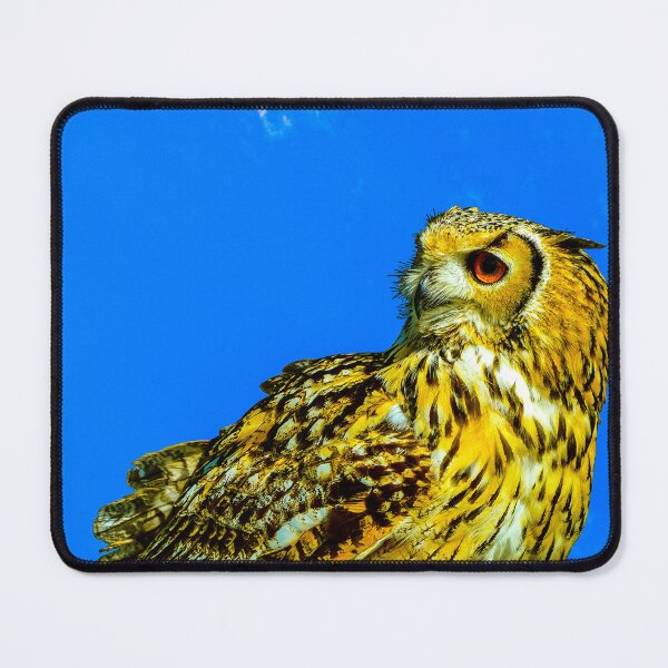 Item preview, Eurasian eagle owl Latin name Bubo bubo perched designed and sold by Peter Etchells.